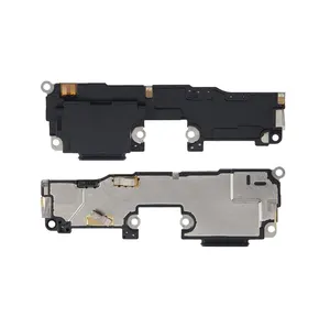Haut-Parleur Google Pixel 6